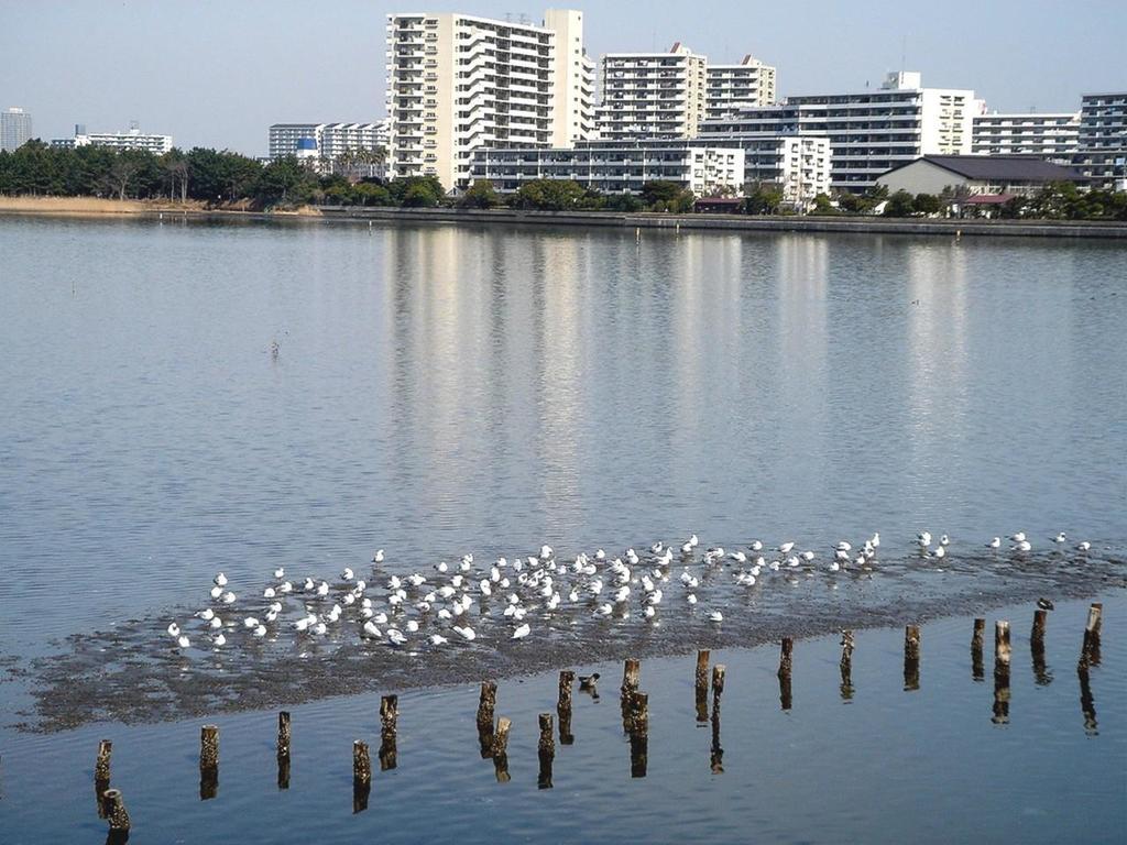 Hotel Lei (Adults Only) Funabashi Zewnętrze zdjęcie